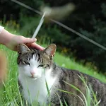 农家乐 克劳特霍夫梅司隶格尔酒店 Losenstein