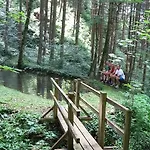 克劳特霍夫梅司隶格尔酒店 农家乐 Losenstein