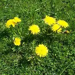 农家乐 克劳特霍夫梅司隶格尔酒店