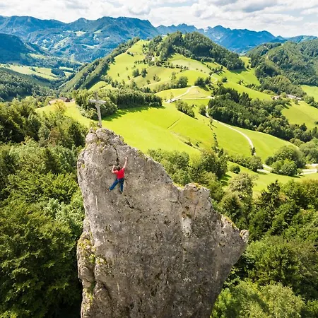 Kraeuterhof Miesrigl Lantgård Losenstein