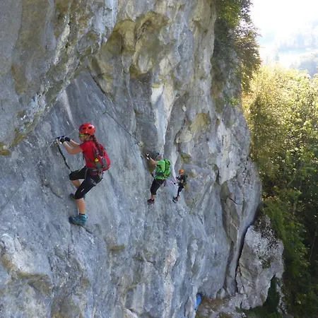 Kraeuterhof Miesrigl Lantgård Losenstein