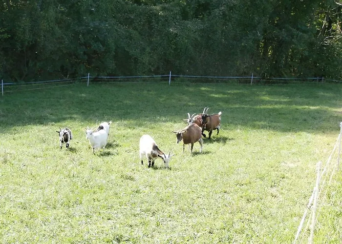 Kräuterhof Miesrigl * Losenstein