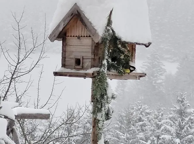 Κατάλυμα σε φάρμα Kraeuterhof Miesrigl Losenstein