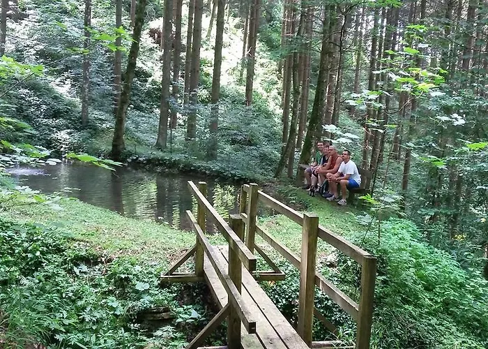 Kräuterhof Miesrigl Bauernhof Losenstein