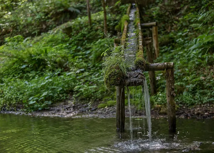 Kraeuterhof Miesrigl Losenstein