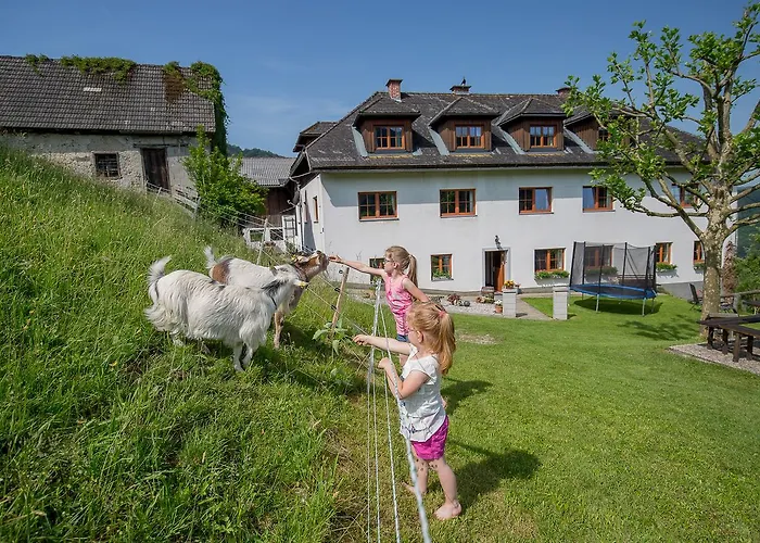 Bauernhof Kräuterhof Miesrigl