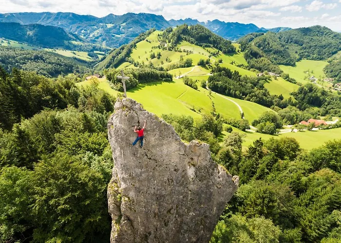 Kräuterhof Miesrigl Bauernhof Losenstein
