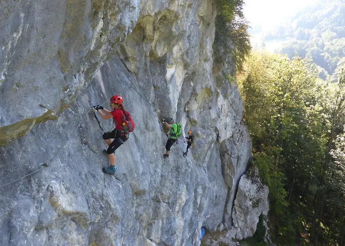 Kraeuterhof Miesrigl Κατάλυμα σε φάρμα Losenstein