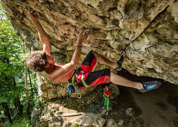 Kraeuterhof Miesrigl Lantgård Losenstein