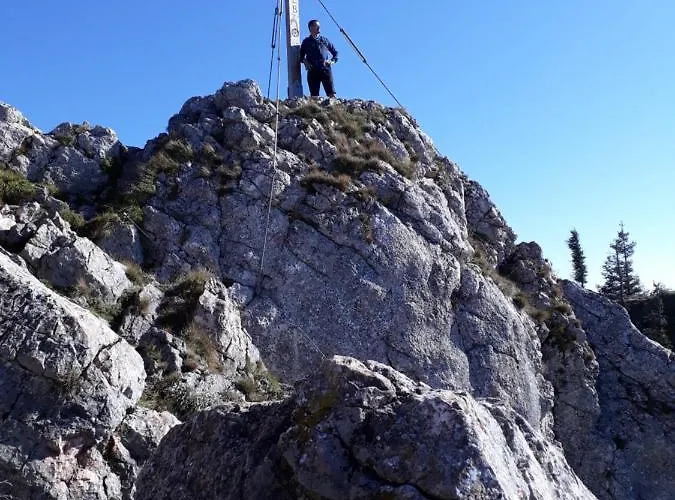 Kraeuterhof Miesrigl Κατάλυμα σε φάρμα