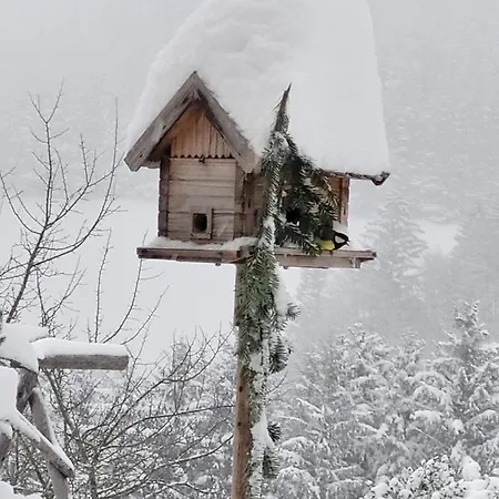 Farm stay Kraeuterhof Miesrigl Losenstein