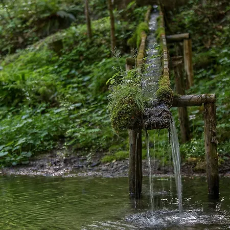 Kräuterhof Miesrigl Losenstein