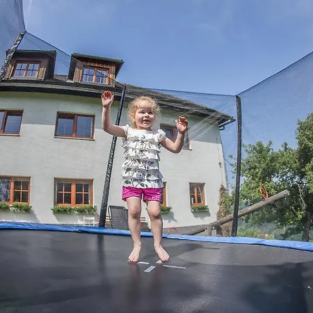 Farm stay Kraeuterhof Miesrigl Losenstein