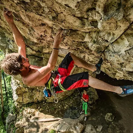 Kraeuterhof Miesrigl Farm stay Losenstein