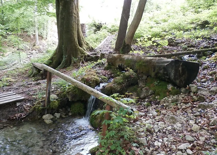 Kraeuterhof Miesrigl *