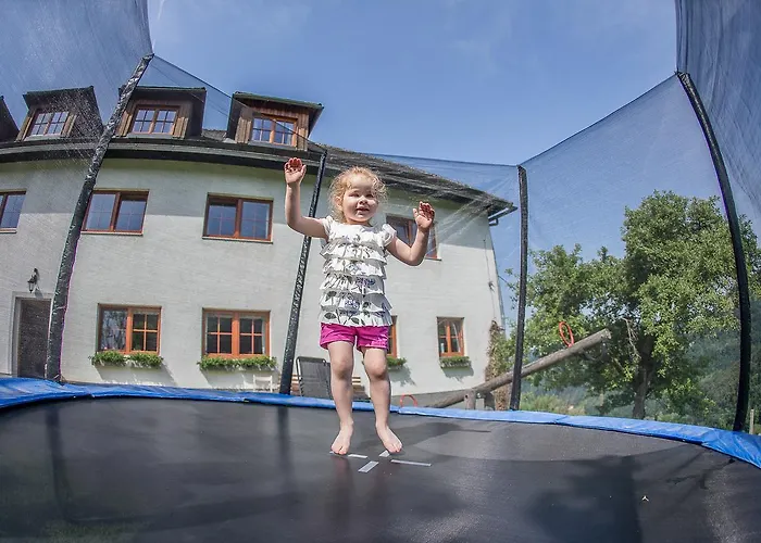 Farm stay Kraeuterhof Miesrigl Losenstein
